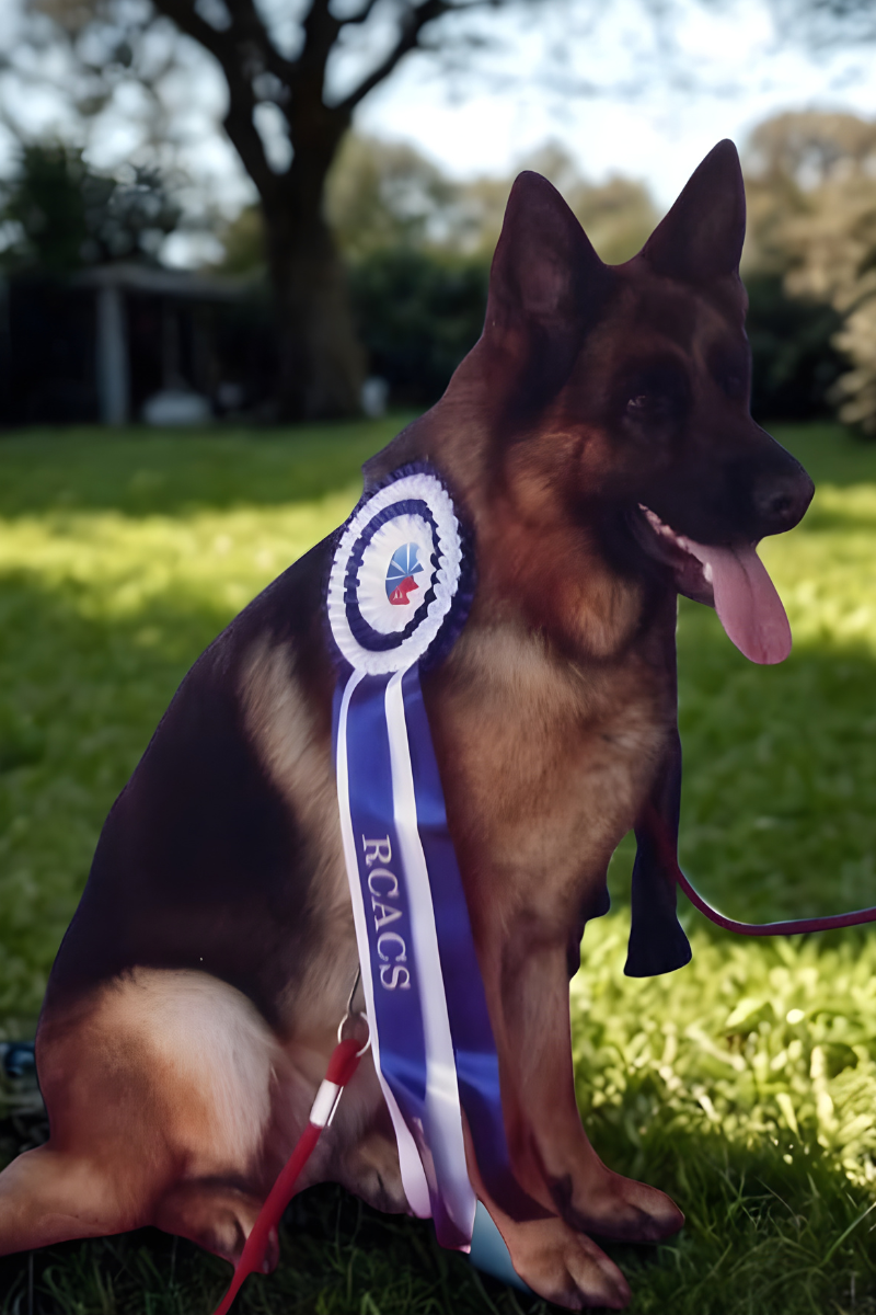 Champion